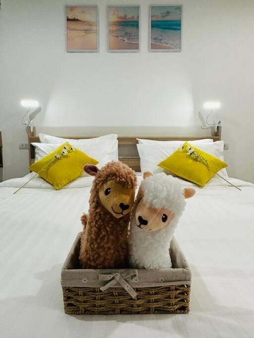 Alpaca Sky View Patong Exterior foto