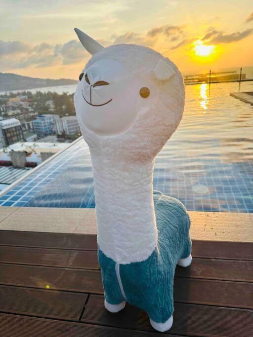 Alpaca Sky View Patong Exterior foto